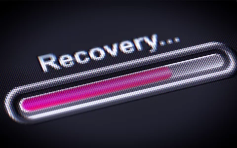 online recovery program