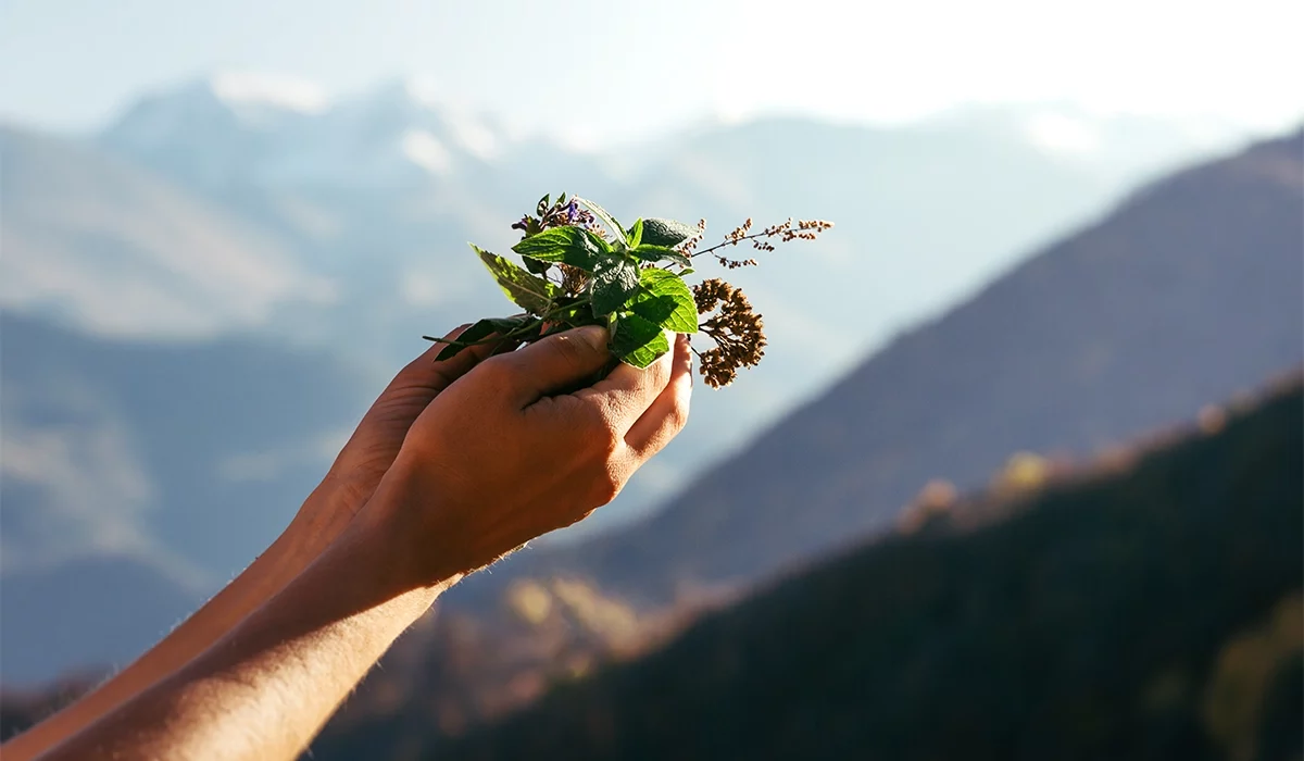 gardening therapy