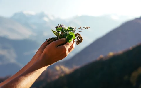 gardening therapy