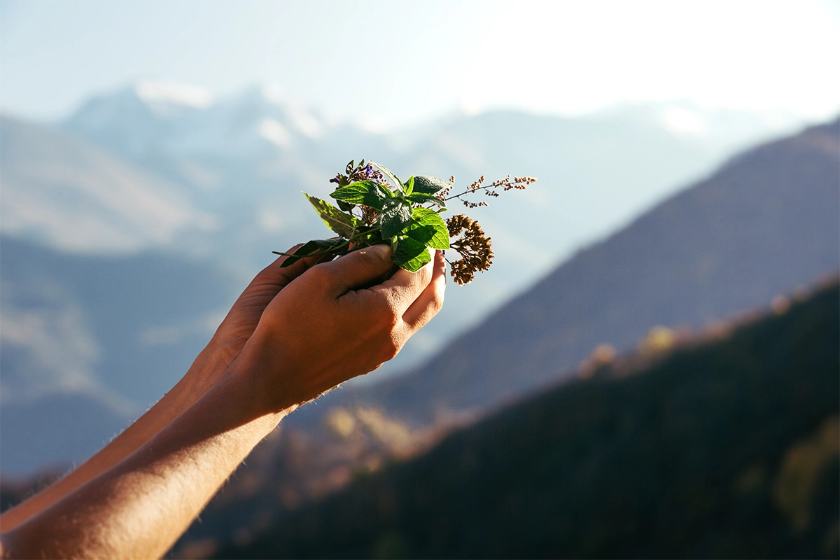 gardening therapy