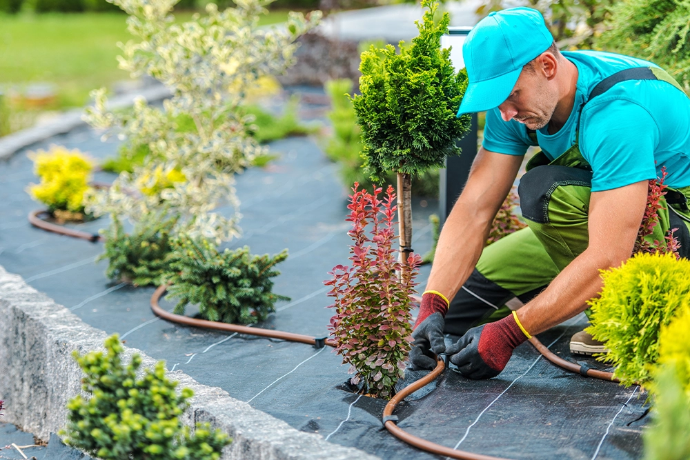 man growing a garden