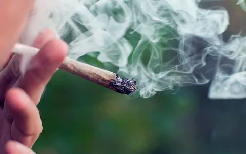 is marijuana really addictive