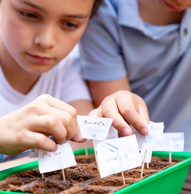 horticultural therapy in toronto